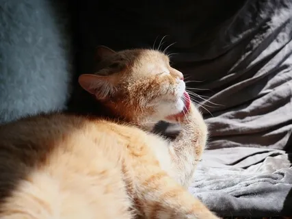 Good Morning Positive Day - Light Filled Meditation & Focus 