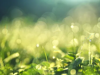 Good Morning! Positive Energy Meditation