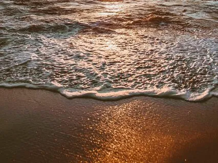 Good Morning Practice: Meditation & Pranayama