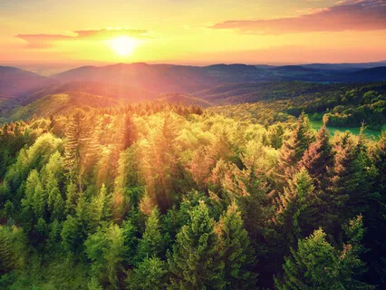 Good Morning Relaxation