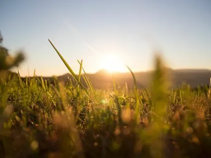 Good Morning (Slow Breathing Version)