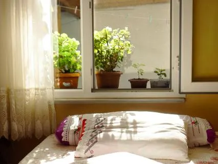 Good Morning Spring - Relaxing 1 Hour Nature Meditation