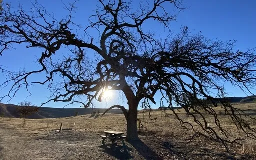 Good Morning Stretch