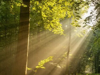 Good Morning Sunrise Meditation