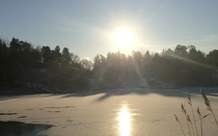 Good Morning Sunshine!