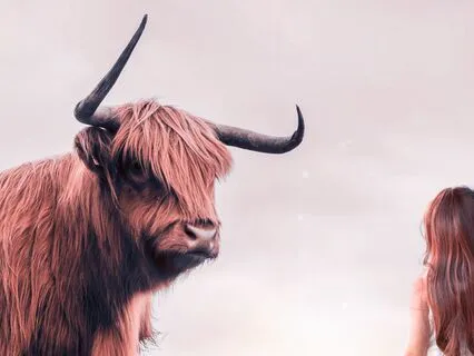 Good Morning, Taurus Rising.