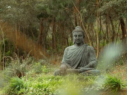 Good Morning World | 15 Min Morning Duduk Meditation