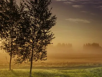 Good Morning World - Morning Meditation