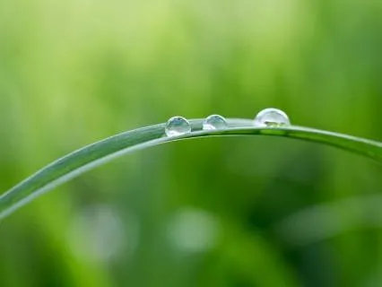 Good Morning Yoga Nidra: Clarity, Focus & Joy