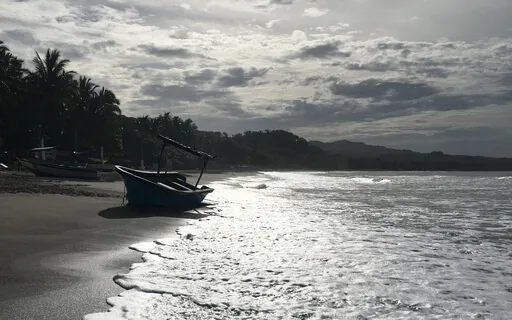 Good Night Gratitude