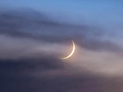 Good Night (Lullaby)