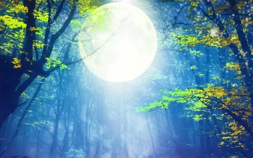 Good Night Moon Meditation