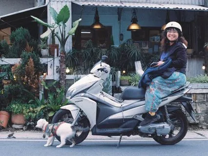 Good Night My Dear Chúc Bé Ngủ Ngon