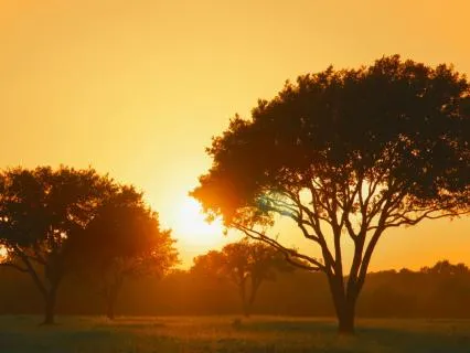 Good night's sleep III