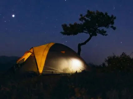 Good night's sleep X