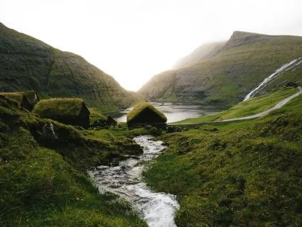 Good night's sleep XIV