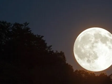 Good Night, Sweet Dreams