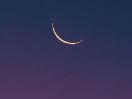 Good Night, Sweet Time