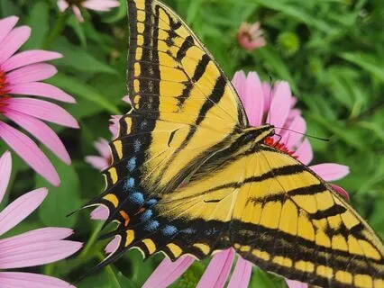 Good Night Yoga: A Pose-By-Pose Bedtime Story