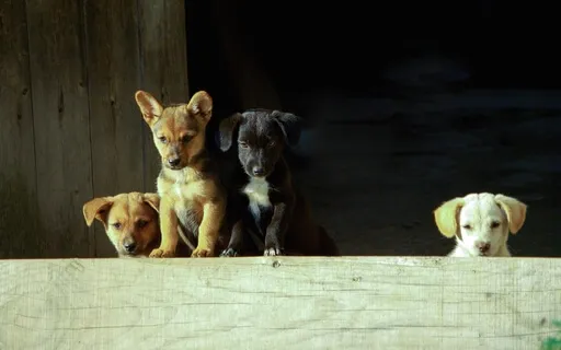 Good Things Are Coming (Part 2)