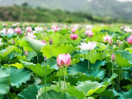 Good To Me – Reflecting On God's Unfailing Goodness