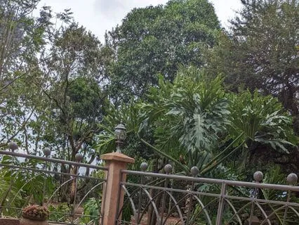 Good Wish For Your Day