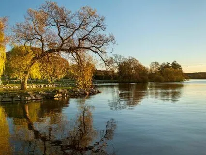 Goodbye Anxiety: Deep Relaxation Escape