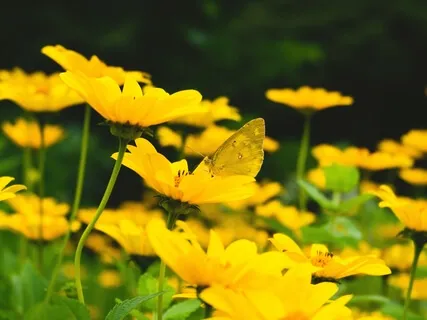 Goodbye Negative Thinking