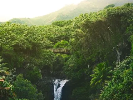 Goodbye's Are A Privilege-Spoken Word