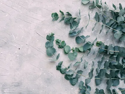 Good Morning Meditation