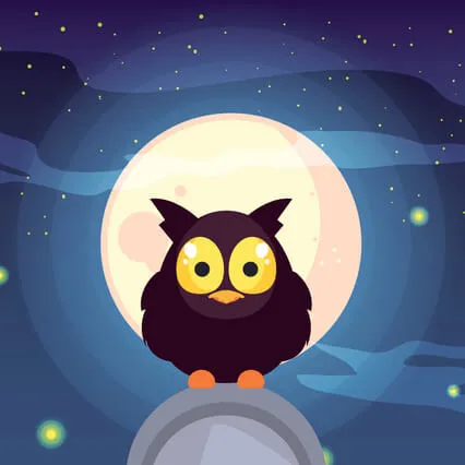 Goodnight Little Barn Owl