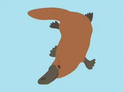 Goodnight Little Platypus 