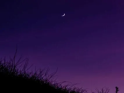 Goodnight Music - Soothing Sleep