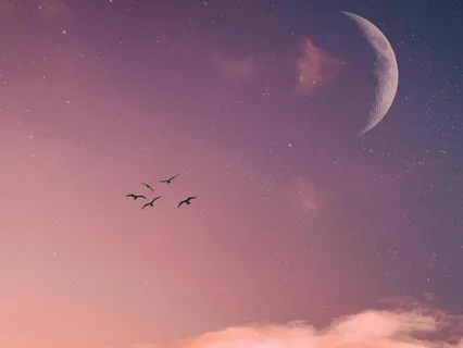 Goodnight Sunset