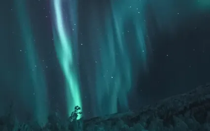 Goodnight Visualization & Peaceful Sleep 