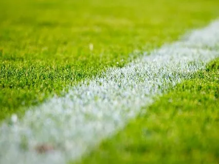 Goooooooooal! (Soccer Bedtime Story)