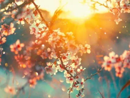 Gopala (Lifeline Mix)