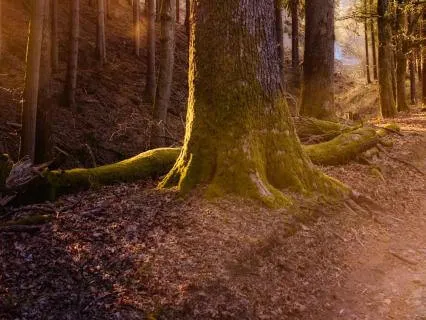 Göra plats - Kroppsavslappning (3 Riktning)