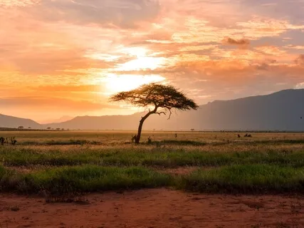 Gorgeous Tribal Mysterious Inspirational Music