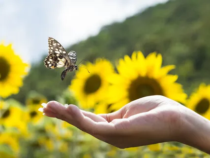 Горная Вершина