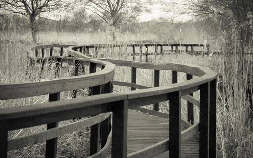 Gospel Of Mark Chapter 10