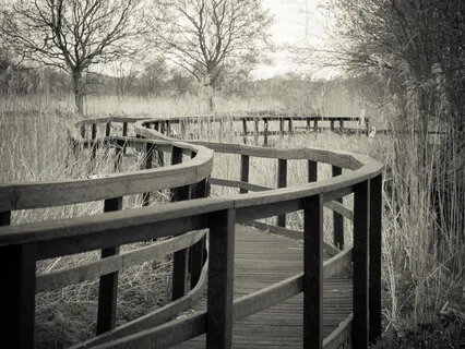 Gospel Of Mark Lent Readings Day 1: Mark 1:1-20