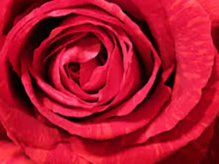 St Mary Magdalene Meditation