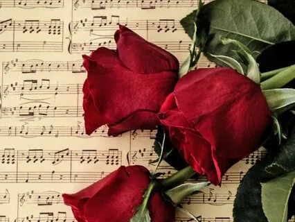 Grá - Irish Wedding Song