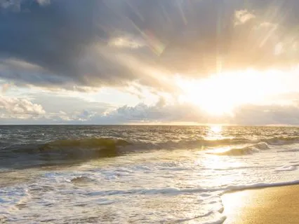 Gratitude For The Body’s Wisdom