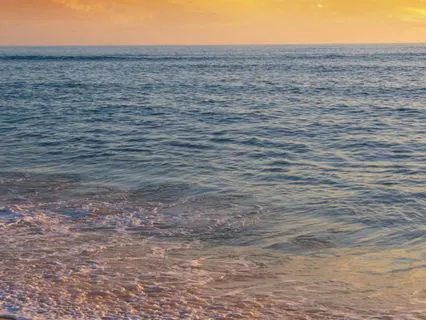 Gratitude For What’s Becoming