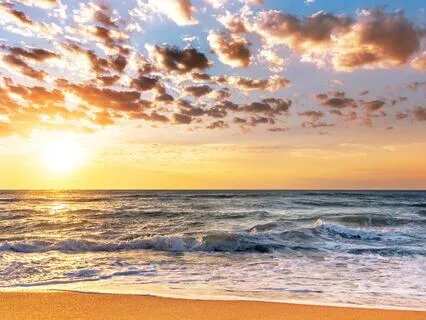 Gratitude For The Present Moment