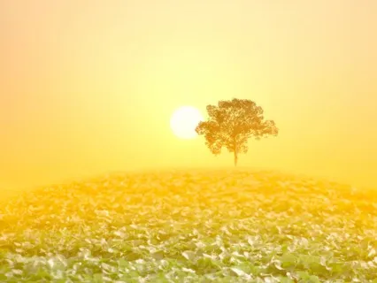 Grace & Strength (Live Request)