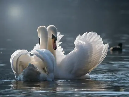 Grace | Cozy LoFi Jazz Beats