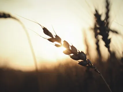 Grace For Tough Situations